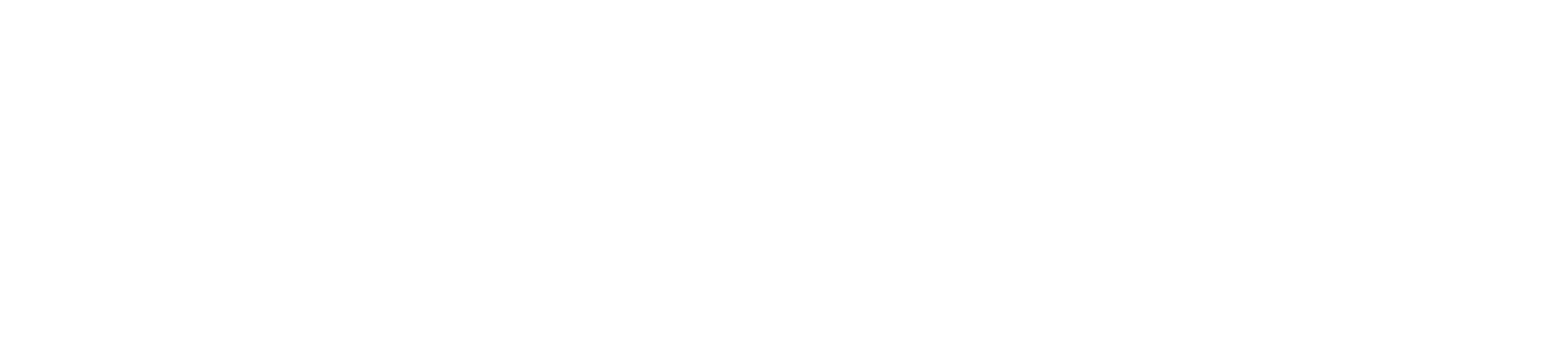 Shiny Detailing San Isidro